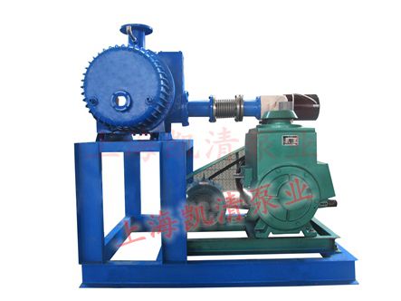 JZJX羅茨旋片機(jī)組圖示2